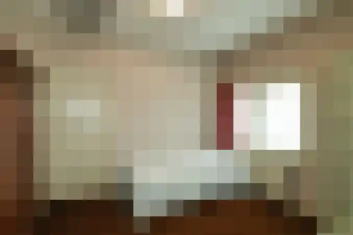 Beukenweg 11 Velp thumbnail 31