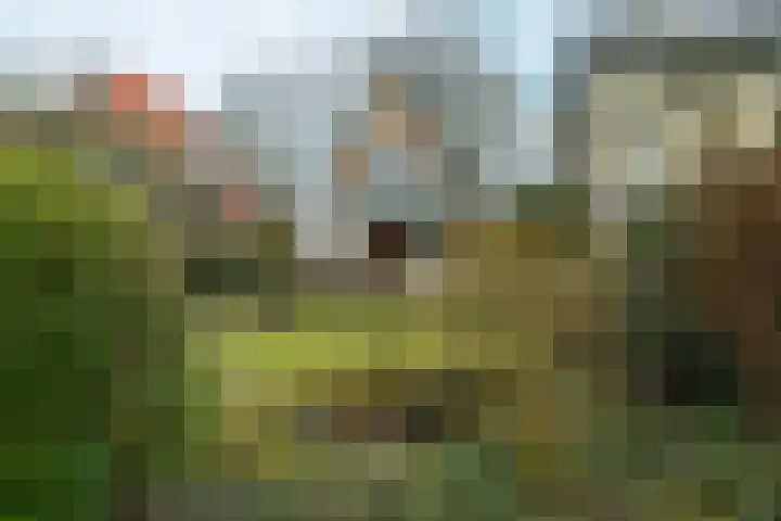 Beukenweg 11 Velp thumbnail 37