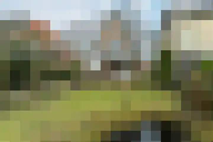 Beukenweg 11 Velp thumbnail 38
