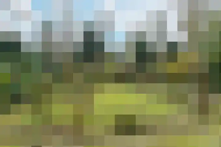 Beukenweg 11 Velp thumbnail 40