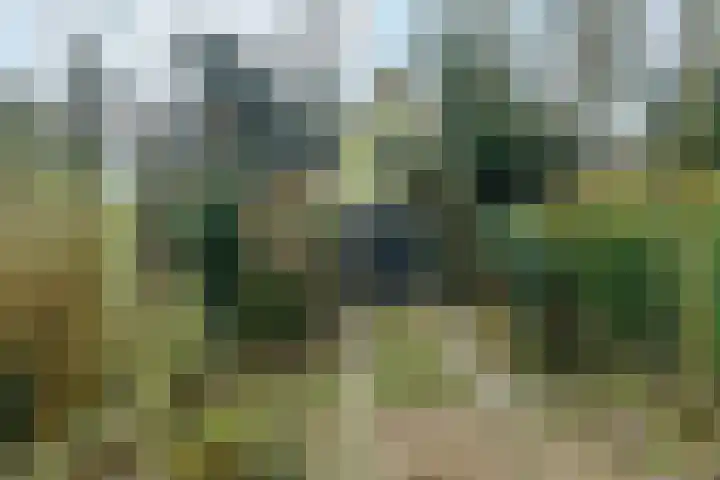 Beukenweg 11 Velp thumbnail 42