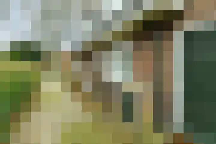 Beukenweg 11 Velp thumbnail 45