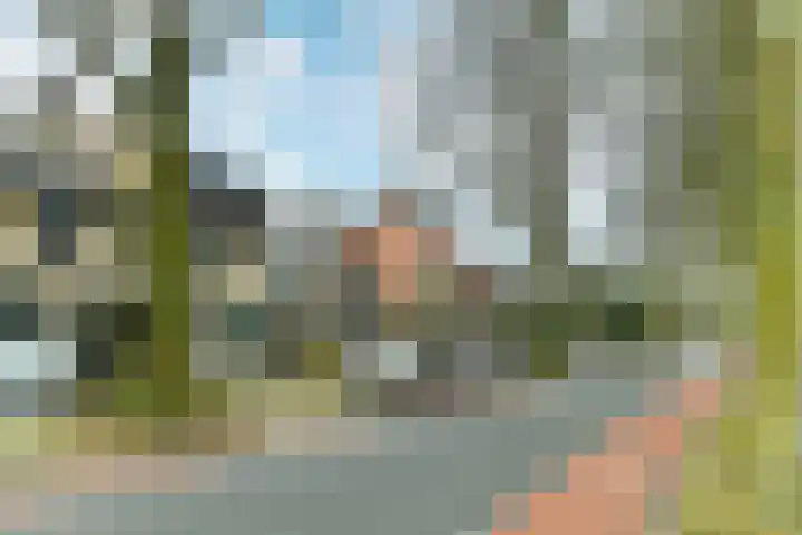 Beukenweg 11 Velp thumbnail 46