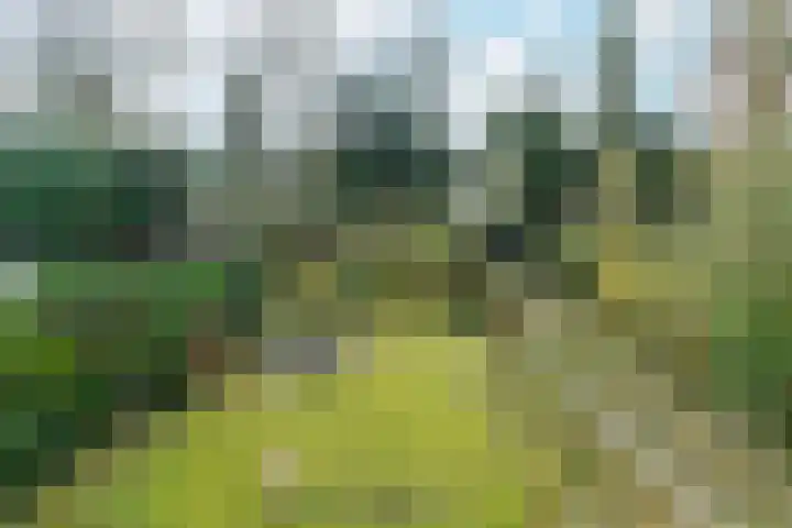 Beukenweg 11 Velp thumbnail 5