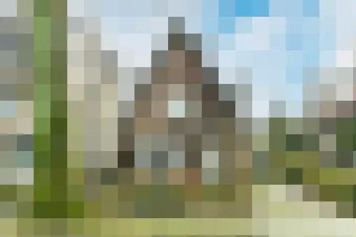 Beukenweg 11 Velp thumbnail 6