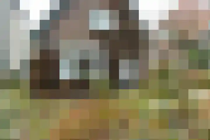 Beukenweg 11 Velp thumbnail 7