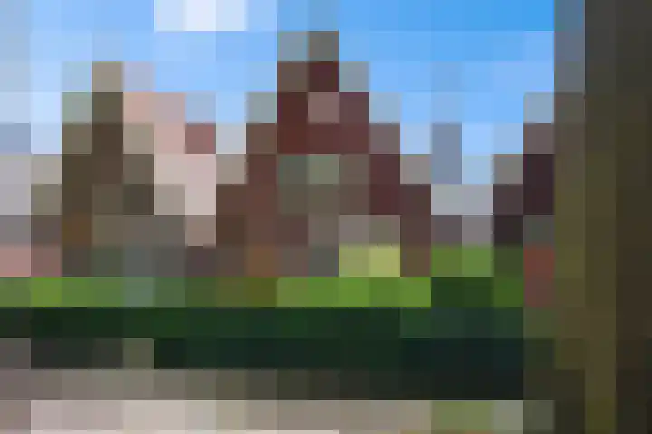 Beukenweg 11 Wormerveer thumbnail 6