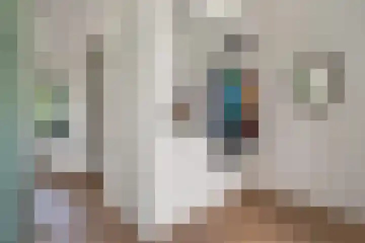 Beukenweg 8 Kampen thumbnail 11