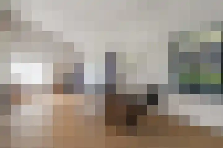 Beukenweg 8 Kampen thumbnail 18