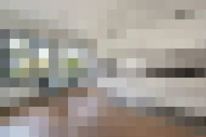 Beukenweg 8 Kampen thumbnail 19