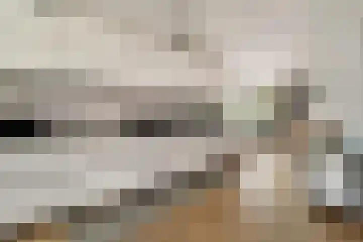 Beukenweg 8 Kampen thumbnail 20