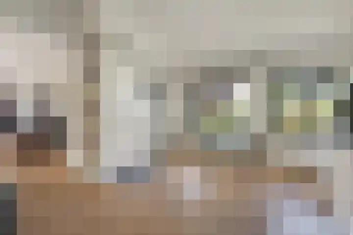 Beukenweg 8 Kampen thumbnail 21