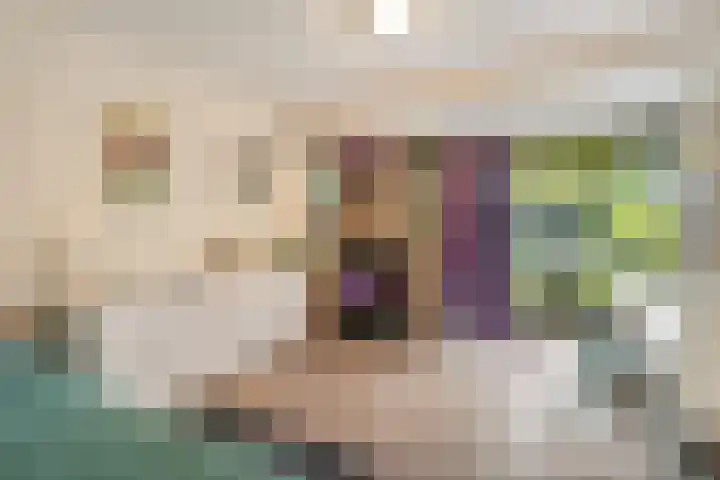 Beukenweg 8 Kampen thumbnail 30