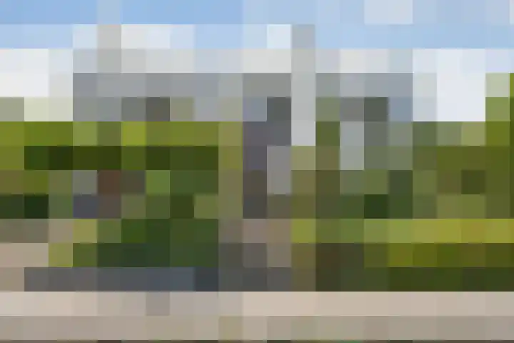 Beukenweg 8 Kampen thumbnail 4