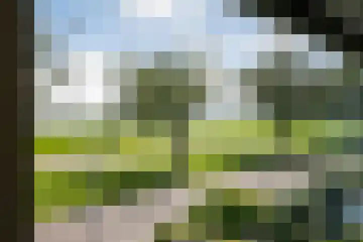 Beukenweg 8 Kampen thumbnail 40