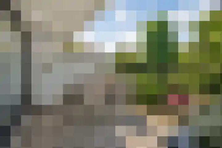 Beukenweg 8 Kampen thumbnail 42