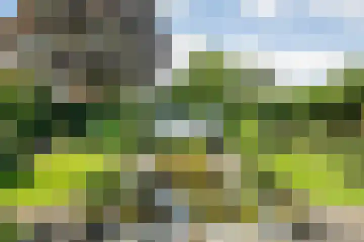 Beukenweg 8 Kampen thumbnail 45