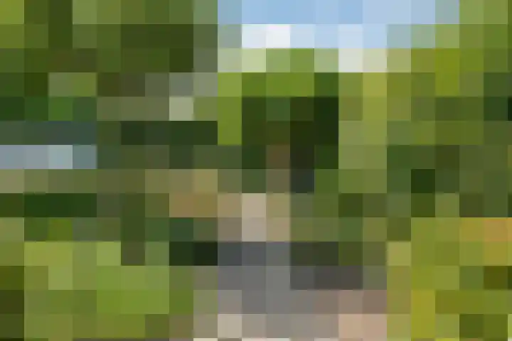Beukenweg 8 Kampen thumbnail 47