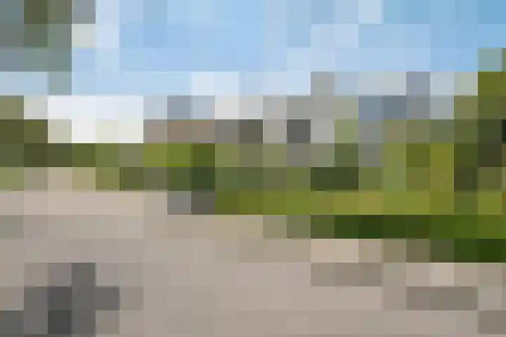 Beukenweg 8 Kampen thumbnail 5