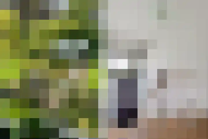 Beukenweg 8 Kampen thumbnail 9