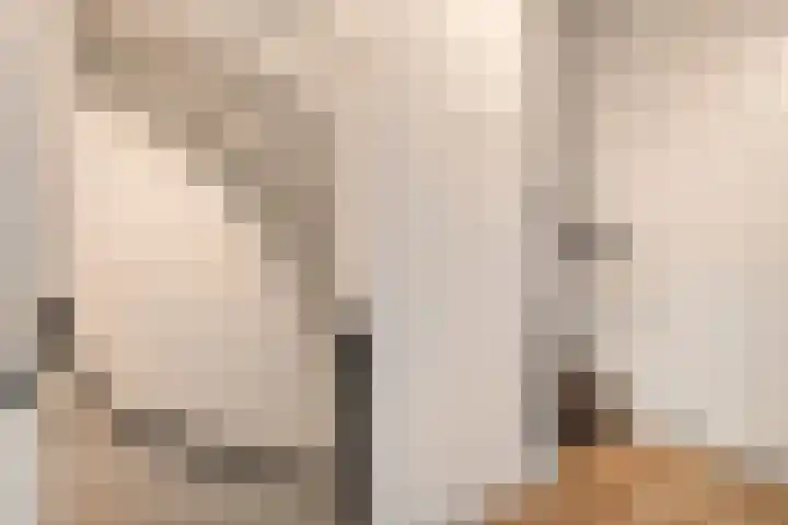 Beukmolen 30 Zwolle thumbnail 20