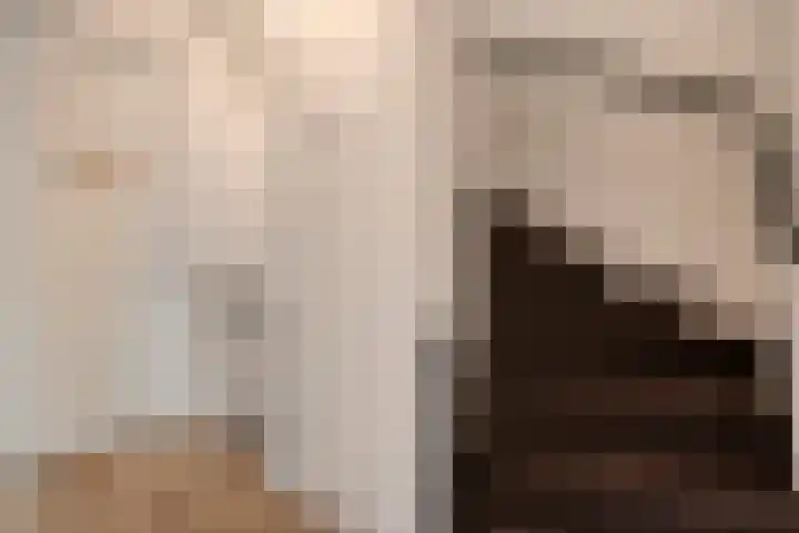Beukmolen 30 Zwolle thumbnail 21