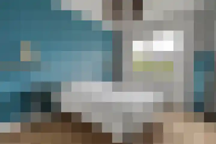 Beukmolen 30 Zwolle thumbnail 22