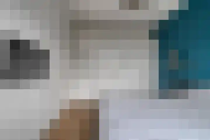 Beukmolen 30 Zwolle thumbnail 23