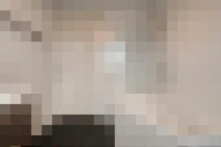 Beukmolen 30 Zwolle thumbnail 27