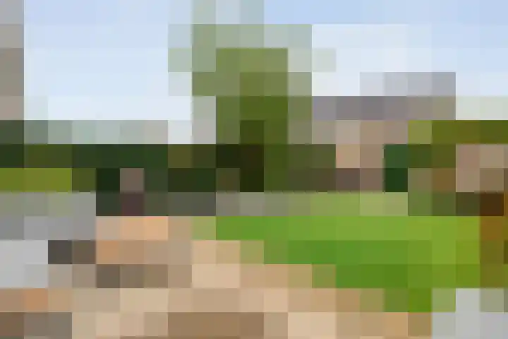 Beukmolen 30 Zwolle thumbnail 34