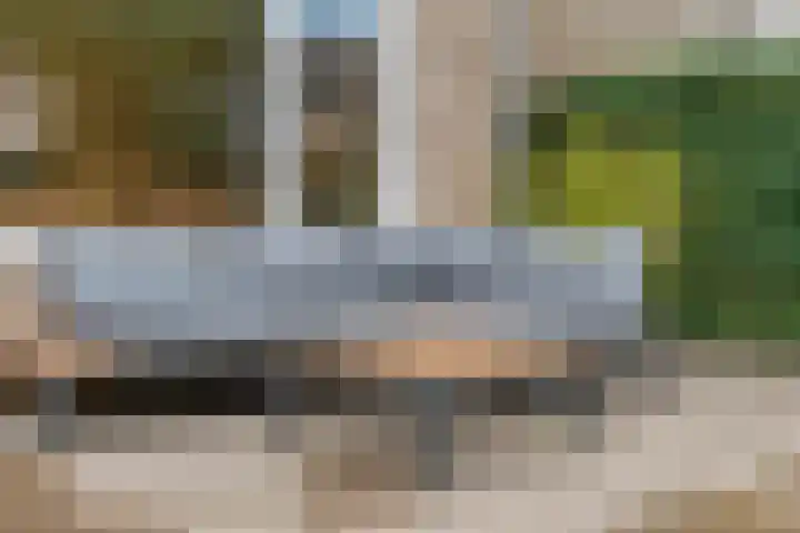 Beukmolen 30 Zwolle thumbnail 38