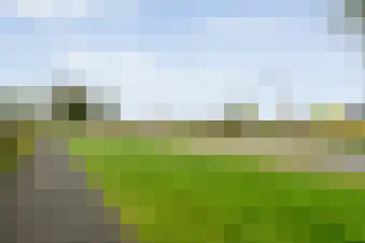 Beukmolen 30 Zwolle thumbnail 39
