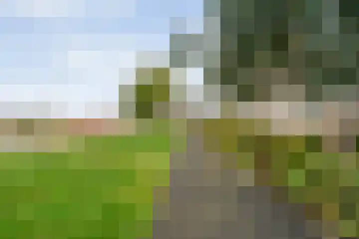 Beukmolen 30 Zwolle thumbnail 40