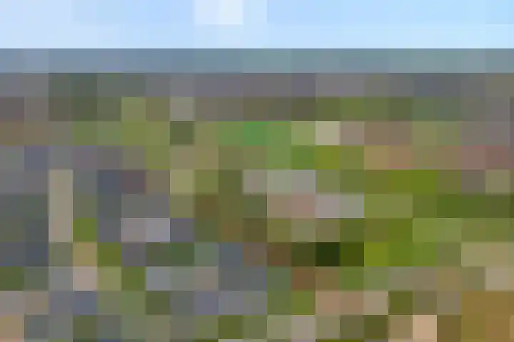 Beukmolen 30 Zwolle thumbnail 41