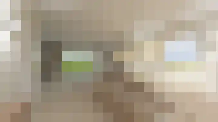 Beukstraat 11 Echt thumbnail 17