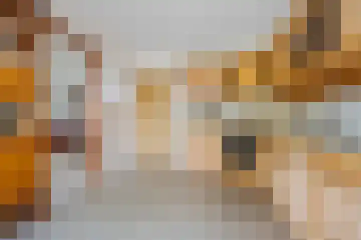Beukstraat 11 Echt thumbnail 22