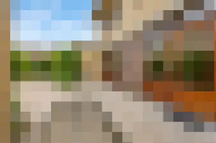 Beukstraat 11 Echt thumbnail 27