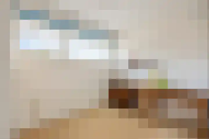 Beukstraat 11 Echt thumbnail 29