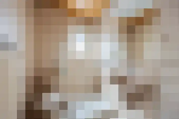 Beukstraat 11 Echt thumbnail 32