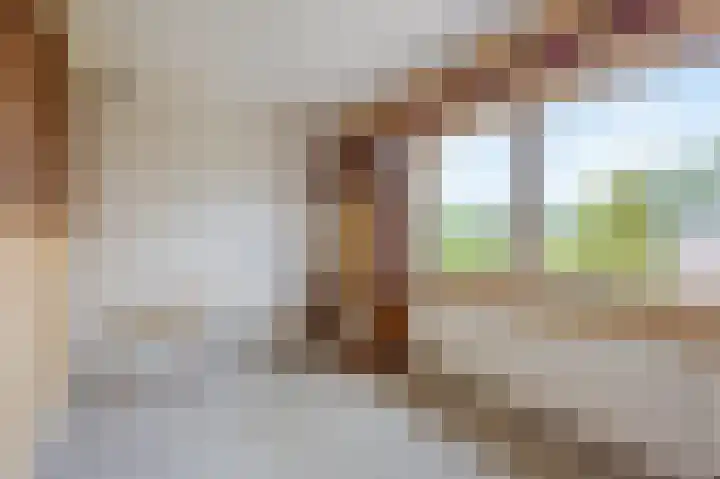 Beukstraat 11 Echt thumbnail 37