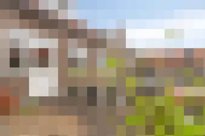 Beukstraat 20 Breda thumbnail 23