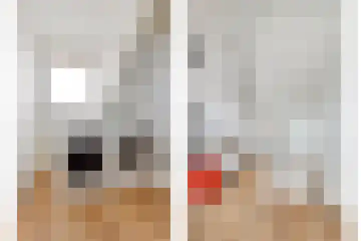 Beukstraat 20 Breda thumbnail 25