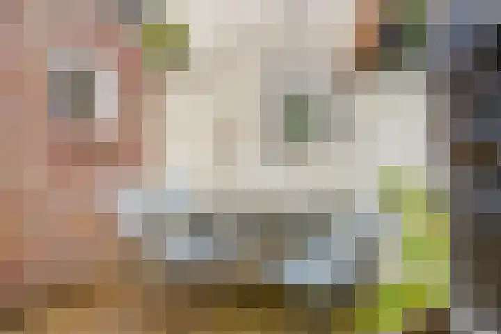 Beukstraat 20 Breda thumbnail 29