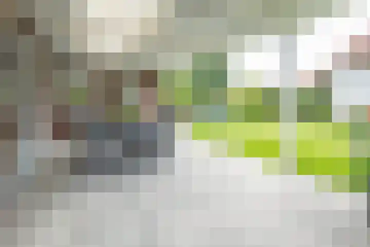 Beukstraat 4 Echt thumbnail 34