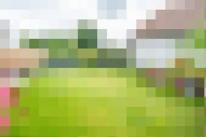 Beukstraat 4 Echt thumbnail 36