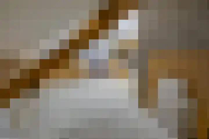 Beukstraat 4 Echt thumbnail 42