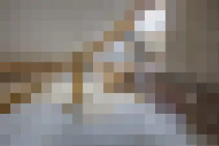 Beukstraat 4 Echt thumbnail 43