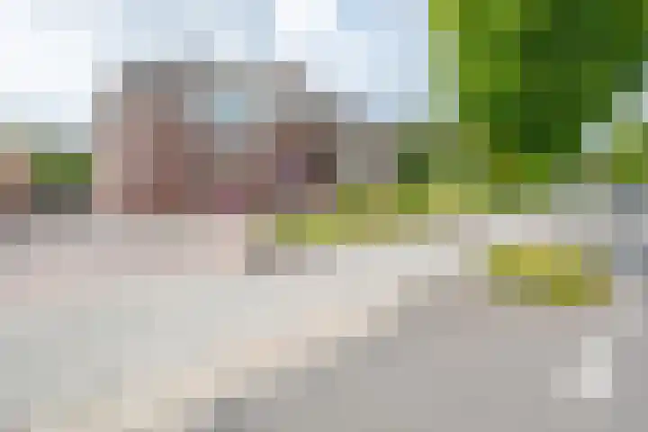 Beukstraat 4 Echt thumbnail 53