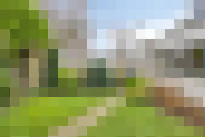 Beukweg 6 Deventer thumbnail 25