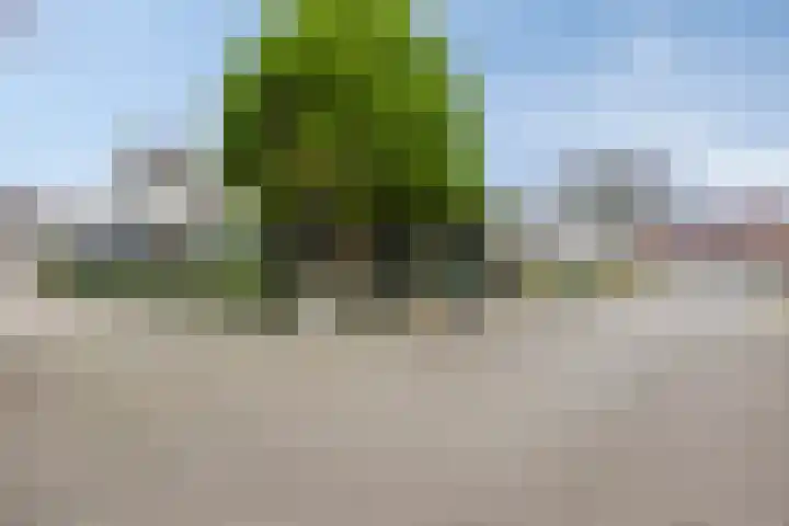 Beukweg 6 Deventer thumbnail 30
